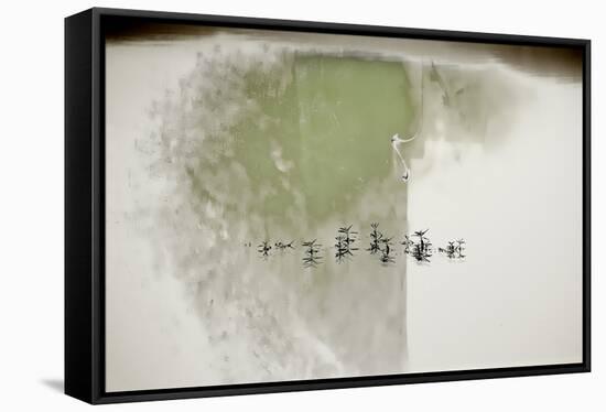 Lakeside Calligraphy-Valda Bailey-Framed Stretched Canvas