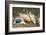 Lakeside I-Graham Reynolds-Framed Art Print