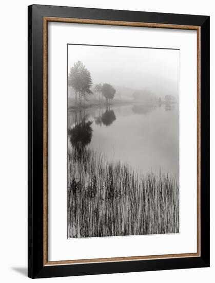 Lakeside Mist-Monte Nagler-Framed Giclee Print