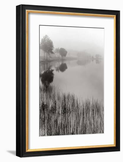 Lakeside Mist-Monte Nagler-Framed Giclee Print