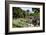 Lakeside Promenade of Locarno, Lake Maggiore, Canton of Ticino, Switzerland-null-Framed Art Print