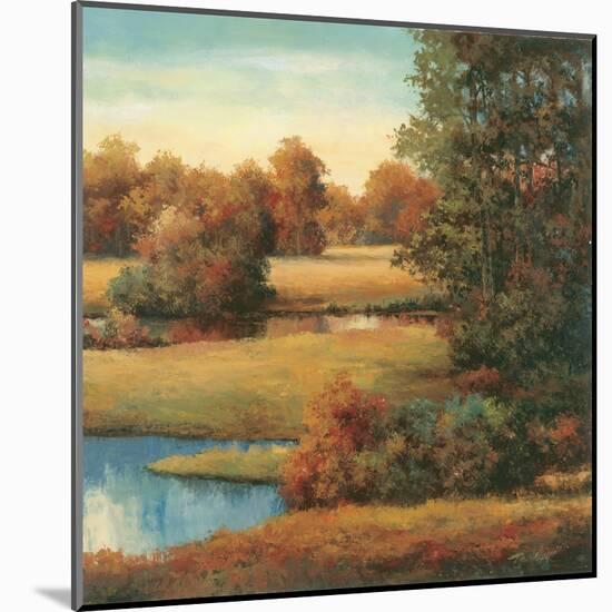 Lakeside Serenity II-TC Chiu-Mounted Art Print