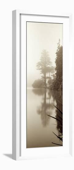 Lakeside Tree #2-Alan Blaustein-Framed Photographic Print