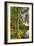 Lakeside Vertical-Robert Goldwitz-Framed Photographic Print