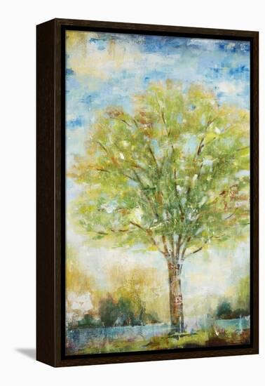 Lakeside-Jill Martin-Framed Stretched Canvas