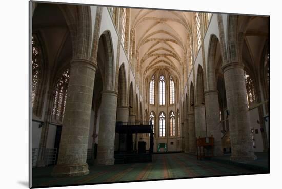 Lala Mustafa Pasha Mosque, Famagusta, North Cyprus-Peter Thompson-Mounted Photographic Print