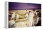 Lama on the Laguna Colorada, Bolivia-Curioso Travel Photography-Framed Premier Image Canvas