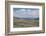 Lamar Valley Bison-Alan Majchrowicz-Framed Photographic Print