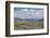 Lamar Valley Bison-Alan Majchrowicz-Framed Photographic Print