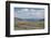 Lamar Valley Bison-Alan Majchrowicz-Framed Photographic Print