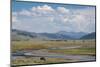 Lamar Valley Bison-Alan Majchrowicz-Mounted Photographic Print