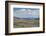 Lamar Valley Bison-Alan Majchrowicz-Framed Photographic Print