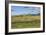 Lamar Valley - Pronghorn and Bison-Galloimages Online-Framed Photographic Print