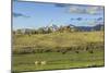 Lamar Valley - Pronghorn and Bison-Galloimages Online-Mounted Photographic Print