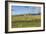 Lamar Valley - Pronghorn and Bison-Galloimages Online-Framed Photographic Print