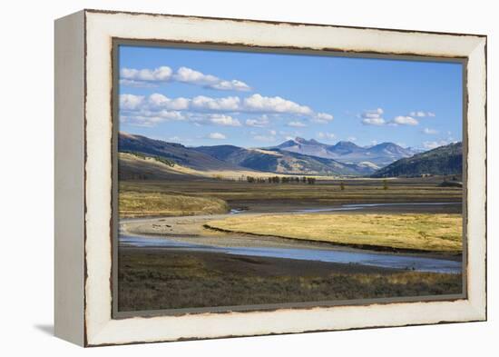 Lamar Valley, Yellowstone National Park, Wyoming, United States of America, North America-Gary Cook-Framed Premier Image Canvas