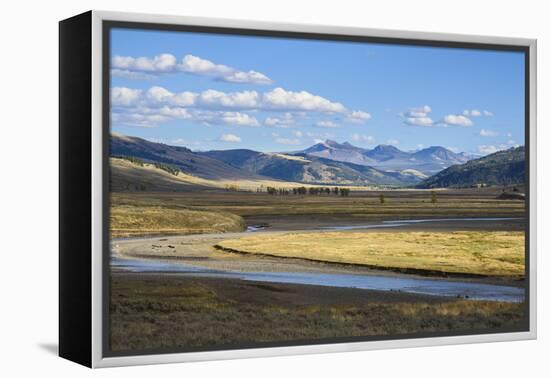 Lamar Valley, Yellowstone National Park, Wyoming, United States of America, North America-Gary Cook-Framed Premier Image Canvas