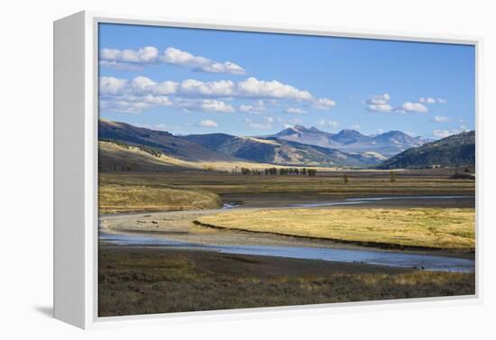 Lamar Valley, Yellowstone National Park, Wyoming, United States of America, North America-Gary Cook-Framed Premier Image Canvas