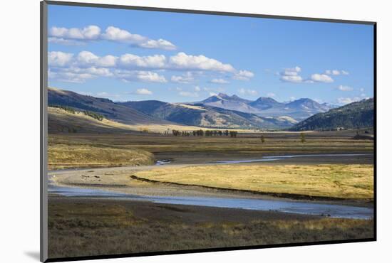 Lamar Valley, Yellowstone National Park, Wyoming, United States of America, North America-Gary Cook-Mounted Photographic Print