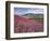 Lamar Valley-Alan Majchrowicz-Framed Photographic Print