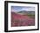 Lamar Valley-Alan Majchrowicz-Framed Photographic Print