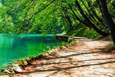 Beaten Track near A Forest Lake in Plitvice Lakes National Park, Croatia-Lamarinx-Photographic Print