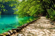 Beaten Track near A Forest Lake in Plitvice Lakes National Park, Croatia-Lamarinx-Photographic Print