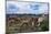 Lamas Family in El Cajas National Park, Ecuador-brizardh-Mounted Photographic Print