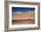 Lamas in Atacama Desert, Chile-Nataliya Hora-Framed Photographic Print