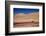 Lamas in Atacama Desert, Chile-Nataliya Hora-Framed Photographic Print