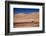 Lamas in Atacama Desert, Chile-Nataliya Hora-Framed Photographic Print