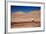 Lamas in Atacama Desert, Chile-Nataliya Hora-Framed Photographic Print