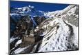 Premium Giclee Print