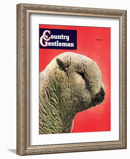 "Lamb," Country Gentleman Cover, May 1, 1948-Stanley Johnson-Framed Giclee Print