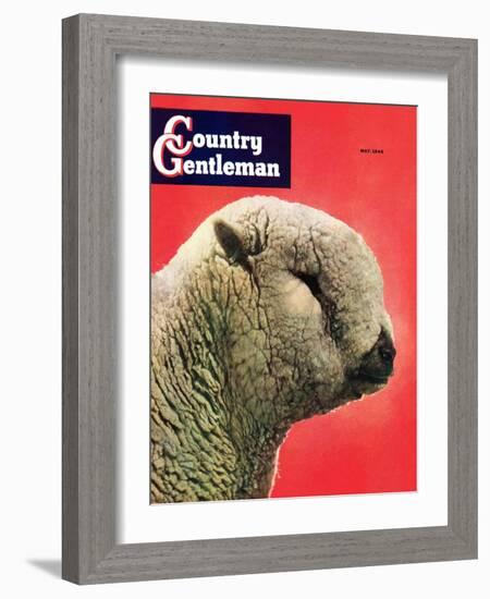 "Lamb," Country Gentleman Cover, May 1, 1948-Stanley Johnson-Framed Giclee Print