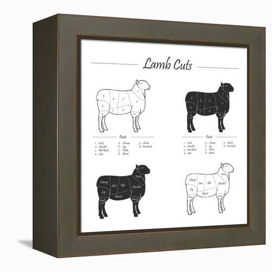 Lamb Cut Scheme - B&W-ONiONAstudio-Framed Stretched Canvas