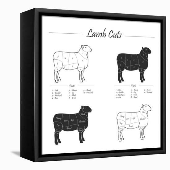 Lamb Cut Scheme - B&W-ONiONAstudio-Framed Stretched Canvas