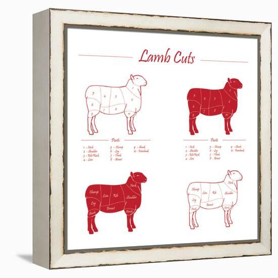 Lamb Cuts-ONiONAstudio-Framed Stretched Canvas
