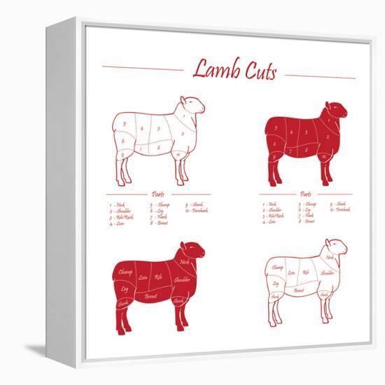 Lamb Cuts-ONiONAstudio-Framed Stretched Canvas