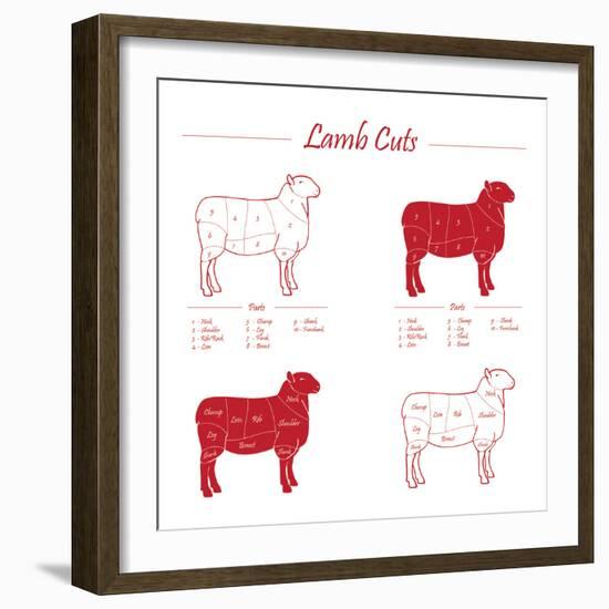 Lamb Cuts-ONiONAstudio-Framed Art Print