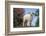 Lamb in Grass-DLILLC-Framed Photographic Print