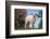 Lamb in Grass-DLILLC-Framed Photographic Print