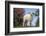 Lamb in Grass-DLILLC-Framed Photographic Print