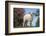 Lamb in Grass-DLILLC-Framed Photographic Print