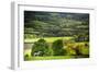 Lamb in Spring, Winchcombe, the Cotswolds, Gloucestershire, England, United Kingdom, Europe-Matthew Williams-Ellis-Framed Photographic Print