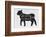 Lamb-null-Framed Giclee Print