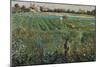 Lambard Landscape-Umberto Boccioni-Mounted Giclee Print