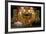 Lambayeque Gold Funerary Mask-null-Framed Photographic Print