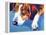 Lambeau-Dawgart-Framed Premier Image Canvas