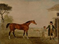 A Bay Racehorse with a Jockey Up on a Racehorse-Lambert Marshall-Giclee Print